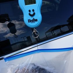 やっぱなんか渋いw